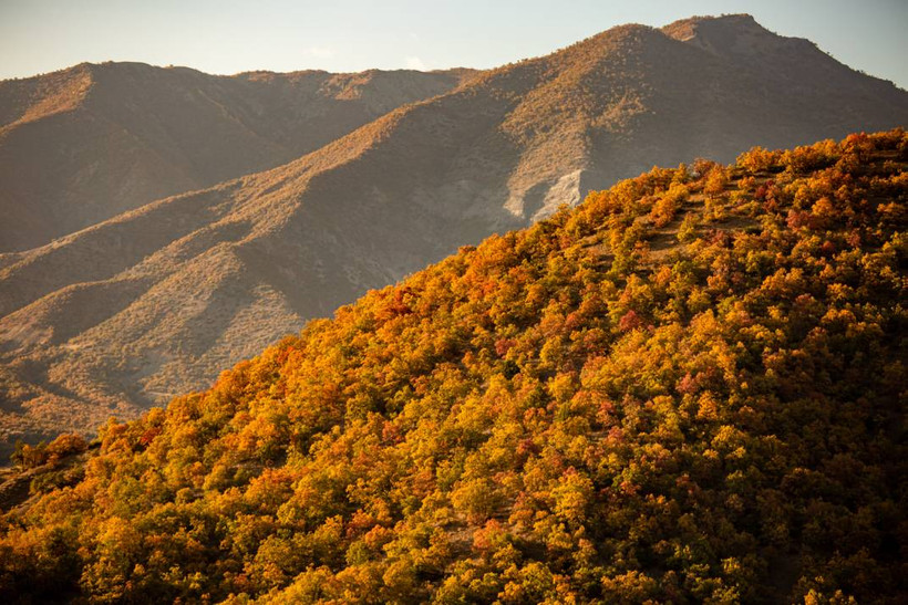 Dersim’de sonbaharın son demleri - Resim: 4